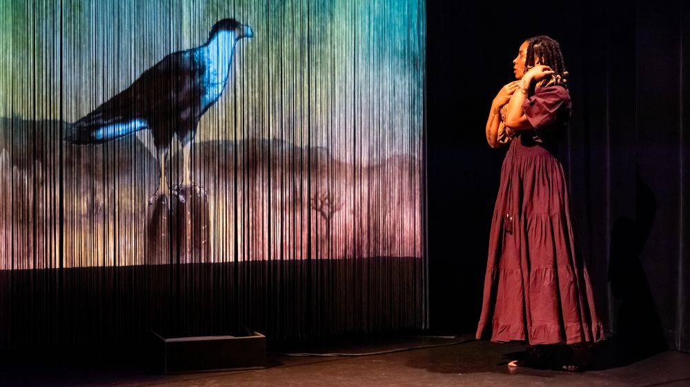 Hannah Wantenaar - Almacita